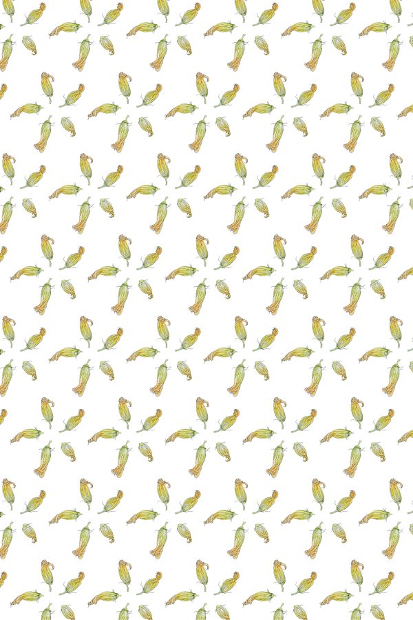 Zucchini flower pattern