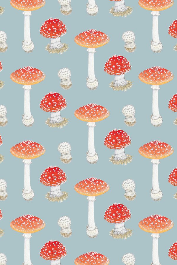 Fly Agaric family pattern