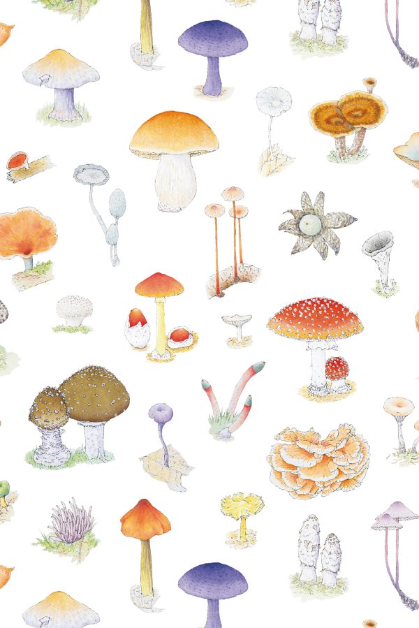 Forest mushrooms pattern